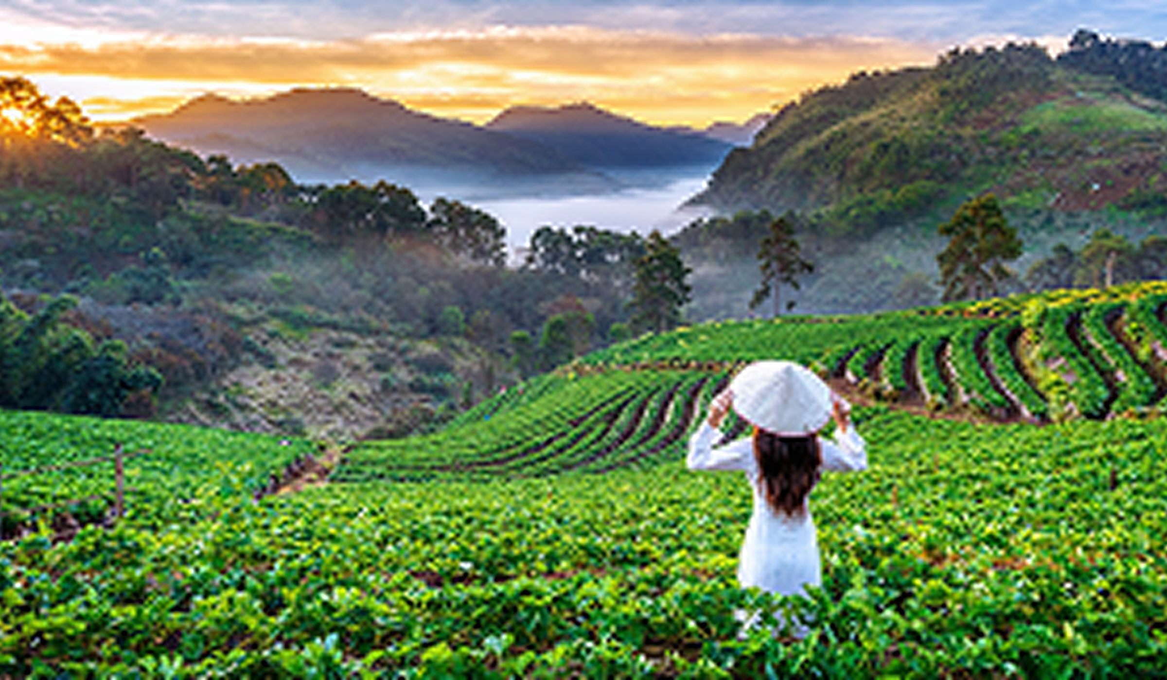 Enchanting Kerala